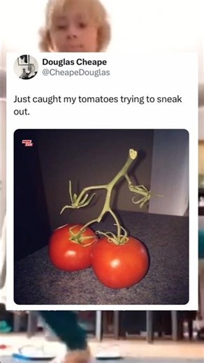 HAHA😂💯#shorts #youtubeshorts #viral #trending #explorepage #shortsfeed #reels #memes #fyp #funny