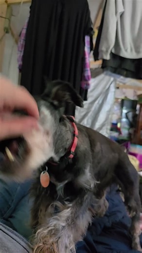 MMC Bun Club on TikTok