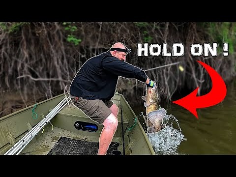 BIG Flathead Catfish on Bank Poles | BAIT Tips/Tricks! | 2022 Fishing