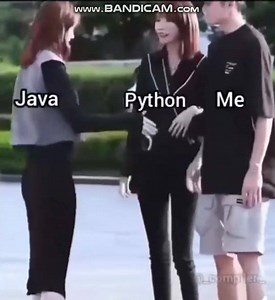 I am Programmer, I have No life on Reels