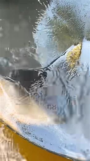 Shocking Gold Discovery: Unveiling Hidden Treasures