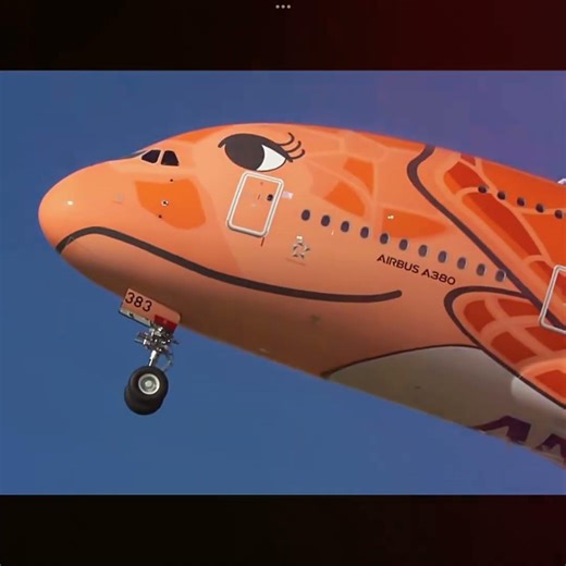 Doing a color wheel trend (remastered version)#avation #avgeek#colorwheel