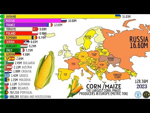 THE TOP 20 LARGEST CORN PRODUCERS IN EUROPE