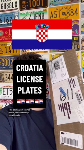 Ethan the License Plate Guy on TikTok