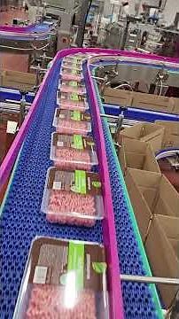 Automated Boxed Meat Packaging Line | Food-Safe Robotic Solution