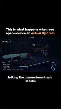 This is what happens when you open source an actua fly brain