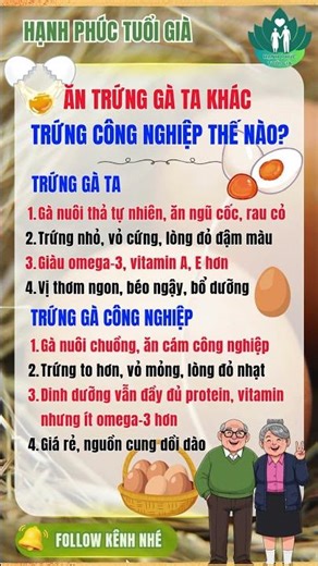 Trứng Gà Ta Khác Trứng Công Nghiệp Thế Nào? Người Già Nên Chọn Loại Nào? | Hạnh Phúc Tuổi Già