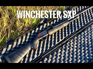 Winchester SXP 12-Gauge- Full Choke Pattern