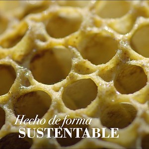 739K views · 932 reactions | Una verdadera fuerza de la naturaleza, igual que vos. #FielALaNaturaleza | Burt's Bees | Facebook