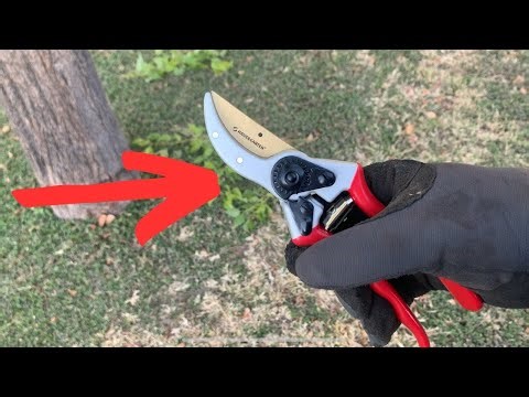 Haus & Garten ClassicPRO Pruning Shears Review – Precision, Power & Comfort for Serious Gardeners!