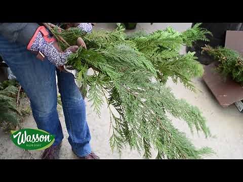 How to make a Christmas Porch Pot - Evergreen Porch Pot Tutorial