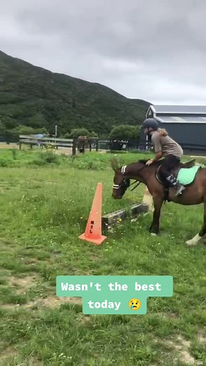 I didn't know she would do this. But my trainer said she just needs to be fed more. #horse #equestrian #pony #newpony #horsefail #equinelife #fail #horsesoftiktok #horseriding #horsefall #newrider #ponyclub #nzequestrian #sarcasm #fyp #naughtypony