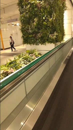 🚶‍♂️【新宿駅から都庁へ】地下通路の動く歩道がとても楽ちん！✨雨の日にも便利な快適ルート🚉