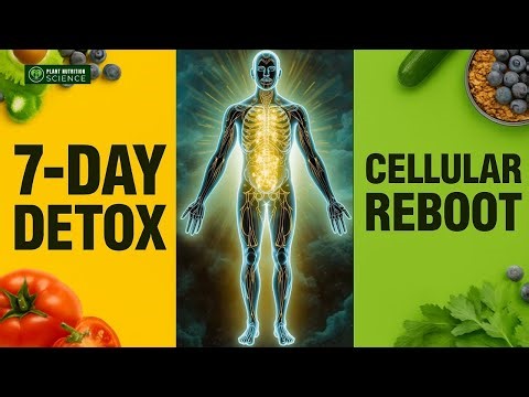Scientifically Proven 7-Day Meal Plan for Cellular Healing & Deep Detox | PNS