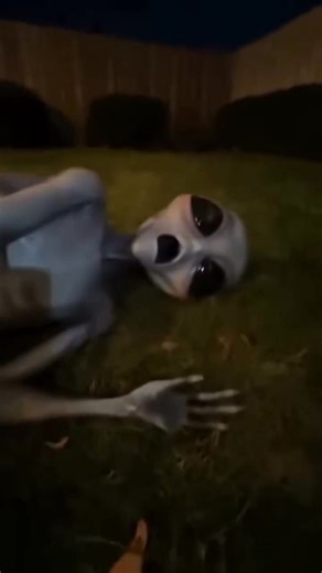 2.4K views · 17 reactions | Backyard Alien Encounter Goes WRONG!! #alien #aliens #ufo #ufos #backyard #fblifestyle | OfficialTracyshay | Facebook