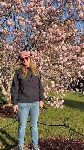 🌸 Magnolia Update with Sarah 🌸 #BotanicGarden