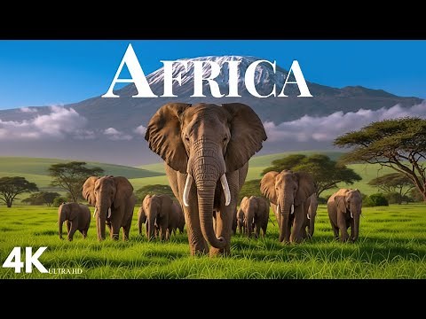 Africa’s Untamed Beauty 4K: Untouched Wilderness & Incredible Wildlife