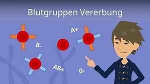 Blutgruppen Vererbung • einfach erklärt, AB0-System - Video