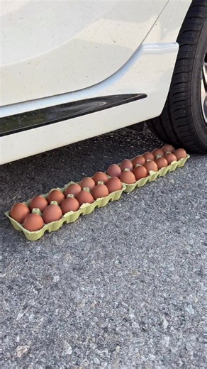 Satisfying Egg Crushing with a Car Tire