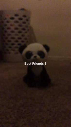 addisonpena00 on TikTok