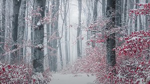 How a Telephoto Lens Can Help Your Landscape Photography