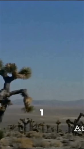 This is what a nuclear explosion sounds like #fyp #nuclearexplosion #astronomy #science