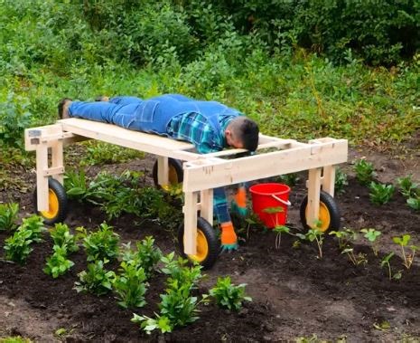 645K views · 1.2K reactions | Smart gardening! DIY tools to boost your garden game! | 5-Minute Crafts | Facebook