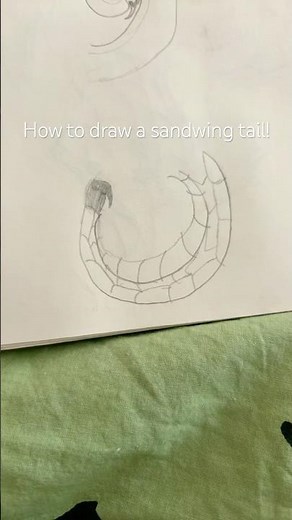 How to draw a sandwing tail!#wof