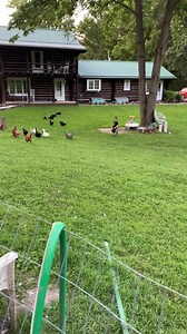 What’s a typical night on the farm look like? Well… | Possum Run Farms