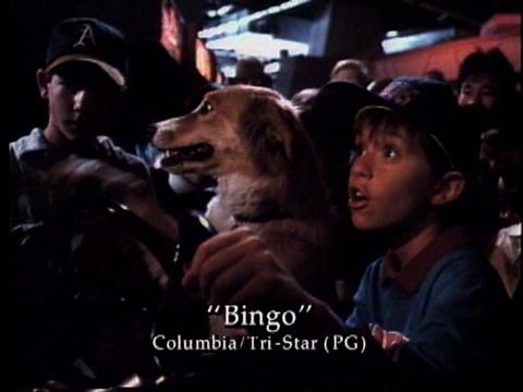 ▶️ Bingo