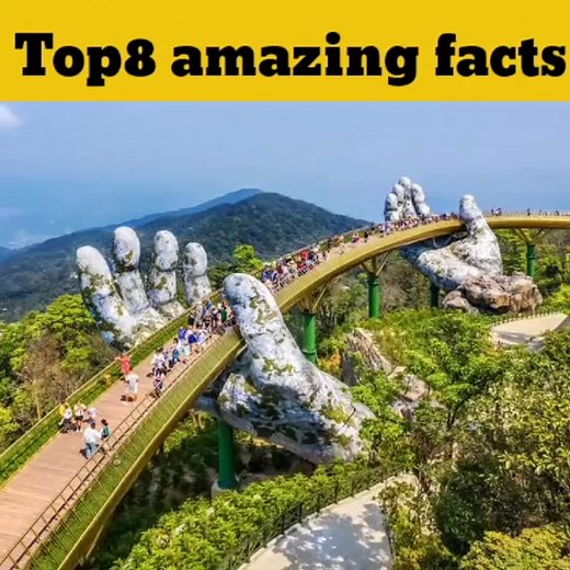 Top8 amazing facts|interesting facts|#Trending #facts #fyp #viral #foryoupage #foryou | Top Entertainment Facts