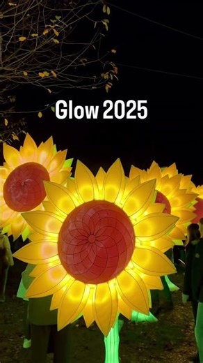 GLOW Festival Eindhoven 2025 – Netherlands’ Brightest Night! | Flying Europe