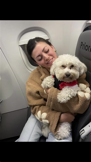 Total loca ya estoy, solo que ahora certificado 😅🫰🏼 #avion #aerolineas #perritoviajero #lomitos #perritostiktokers