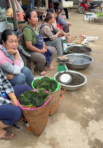 Chợ Lào Bán Rất Nhiều Rau Lạ Và Nhiều Đồ Rừng. #tuanvivu #lao #cholao