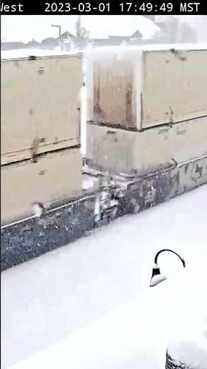 Flagstaff and Snow #shorts #shortvideo #trains