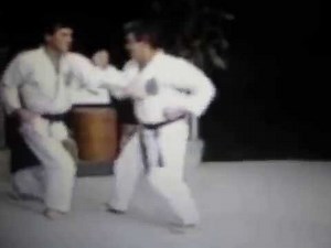 Chinto Bunkai Isshin-ryū Karate