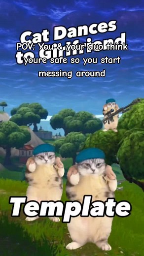 #meme #memecat #fortnite #fortniteduo #cat #fyp | Cat Meme