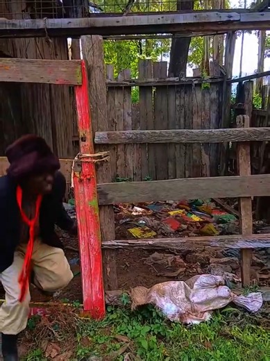 Meru's Best Comedy Moments in Kaimuri Chronicles