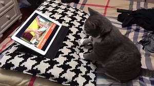 2.4M views · 27K shares | A fast learner! | Rumble | Facebook