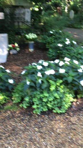 Visiting George Michael's Grave at Highgate Cemetery