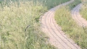 Snake farming is one of the profitable businesses that many people are ignoring it... Please don't ignore it ohhh there is money in it... will you love to try it? | Farm with Tam