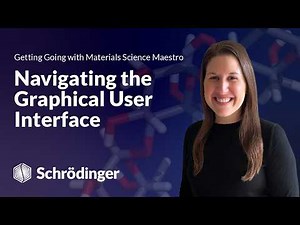 Learn MS Maestro: Navigating the Graphical User Interface