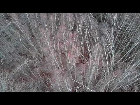 Cryptid Crawl location #5