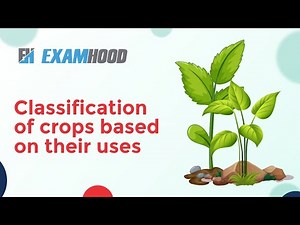 Classification of crops based on their uses