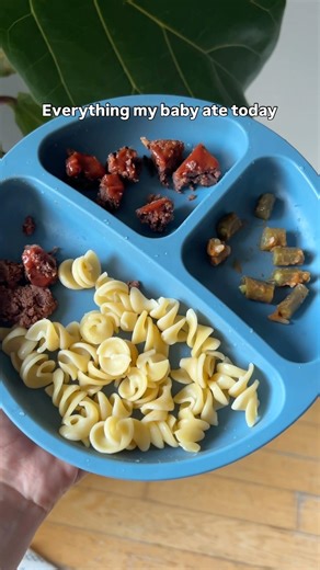 Everything my baby ate today