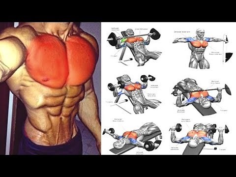 MEILLEURS 7 Exercices pour isoler les pecs / chest isolation exercices