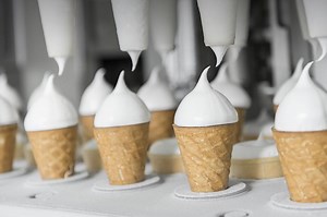 Food & Beverage Processing Engineering FDA Seals