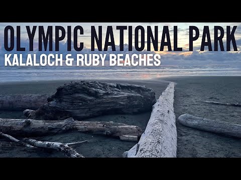 Olympic National Park | Kalaloch Beach | Ruby Beach