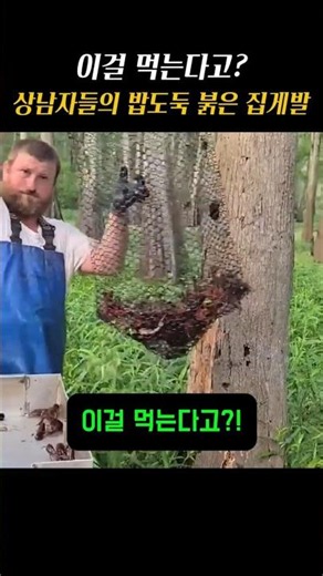 이걸 먹는다고? 미국 상남자들의 국민 밥도둑 '미국가재'의 정체