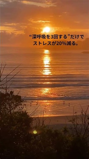 『誰でもできる1分で幸せになる方法』#幸せ #誰でもできる #１分でできる #雑学 #豆知識#ライフハック#モチベーション #プチ知識 #一分でわかる #簡単#呼吸#ストレス解消 #みんな幸せ#平和